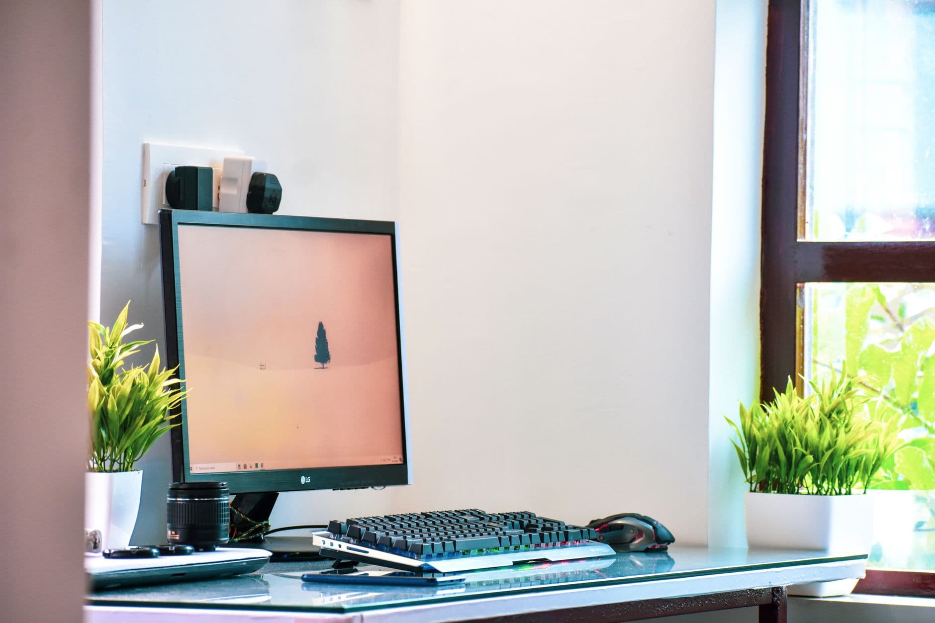 Bright home office setup featuring a computer on a desk by the window with green plants.